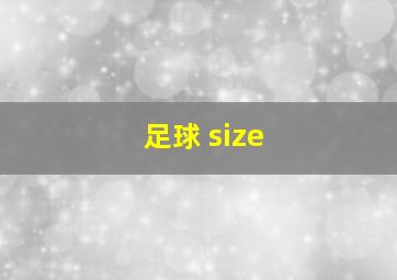 足球 size